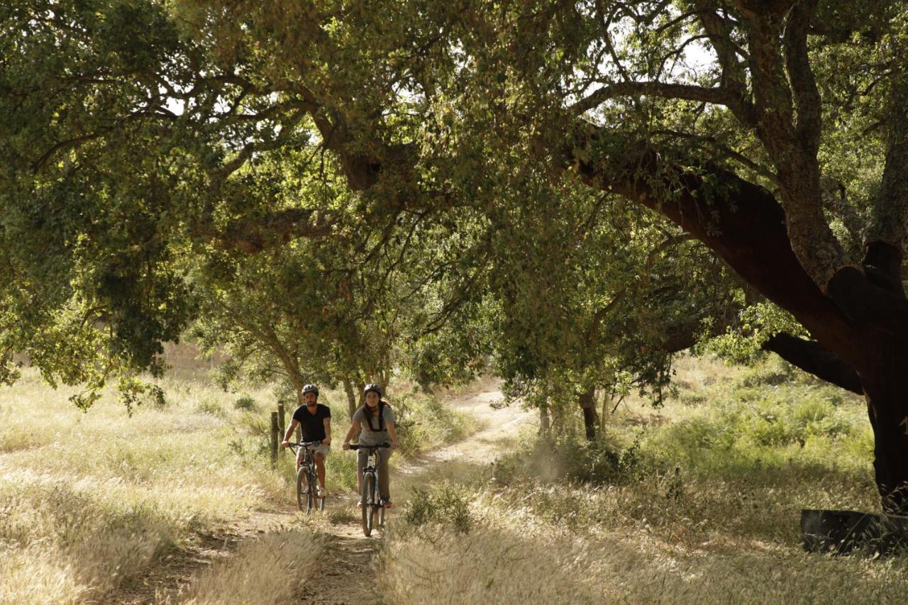 Herdade Da Matinha Country House & Restaurant Cercal do Alentejo Ngoại thất bức ảnh