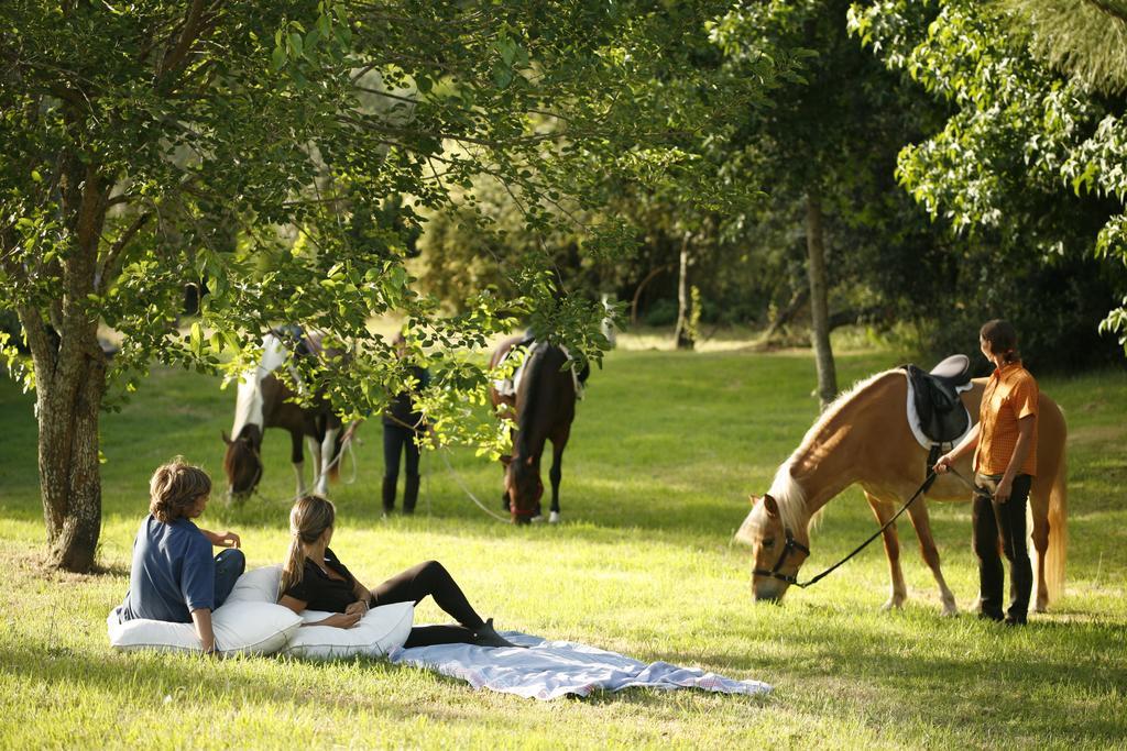 Herdade Da Matinha Country House & Restaurant Cercal do Alentejo Ngoại thất bức ảnh