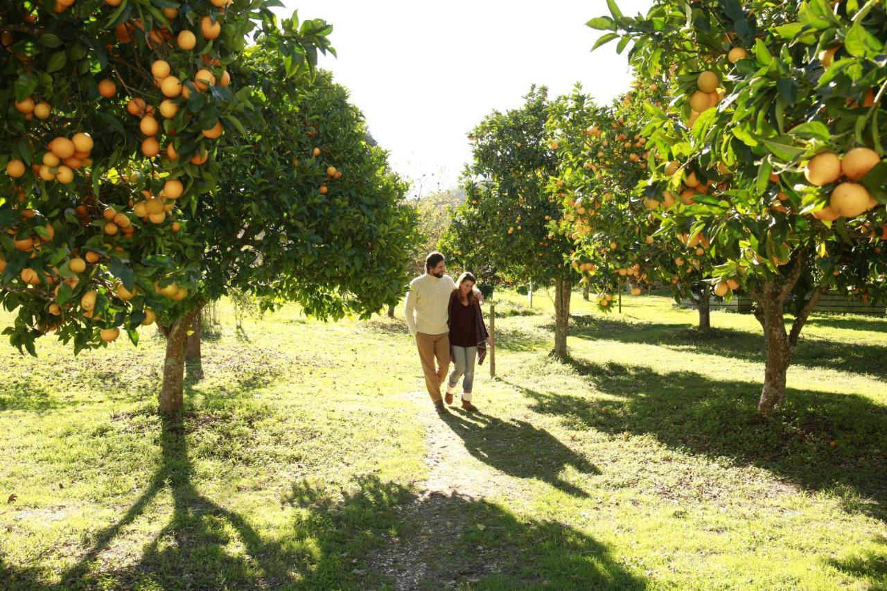 Herdade Da Matinha Country House & Restaurant Cercal do Alentejo Ngoại thất bức ảnh